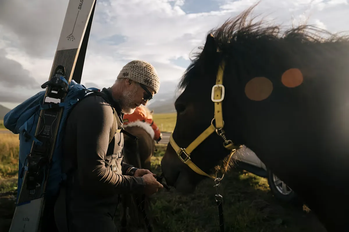 Skier with blue gear greeting black Icelandic horse in grassy field