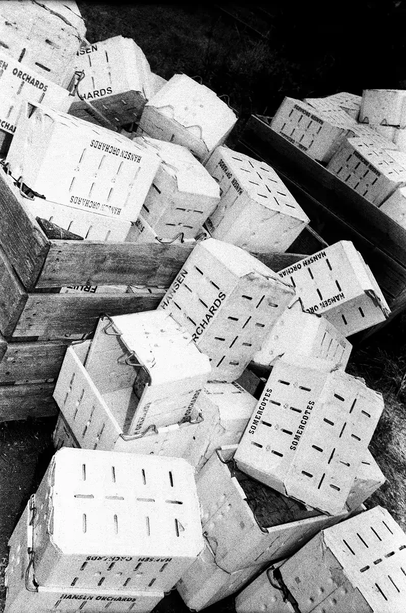 Scattered wooden fruit crates from various orchards piled outdoors