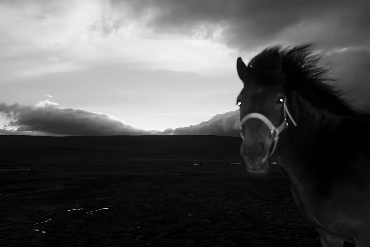 Horse with windswept mane running across dark plains under stormy sky