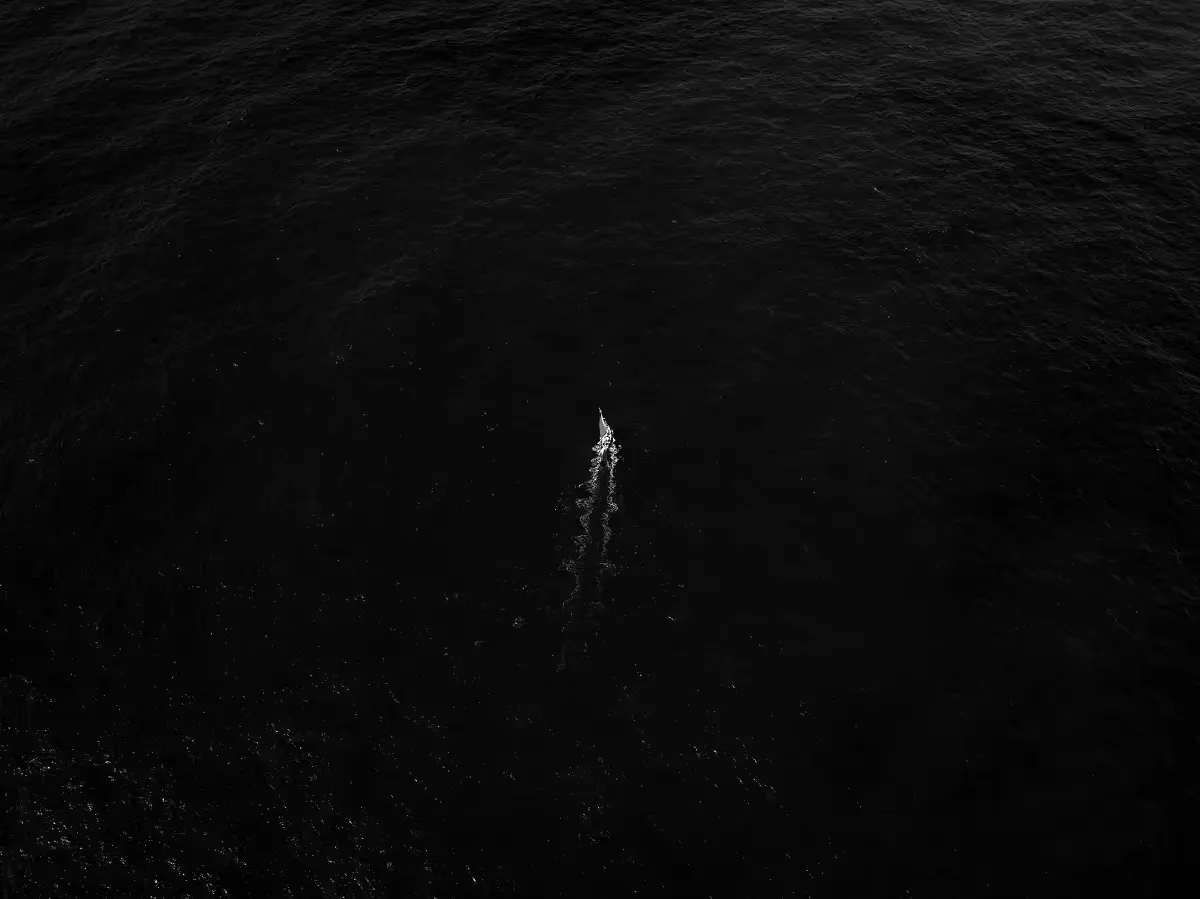 Aerial view of lone whale swimming in dark ocean water